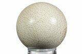 Polished Petrified Palmwood (Palmoxylon) Sphere - Texas #330145-1